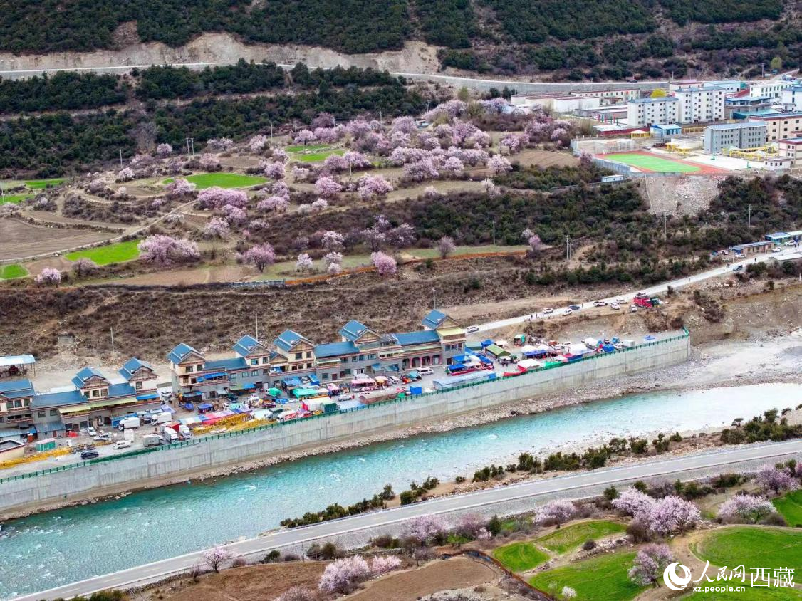 那曲市嘉黎县尼屋乡的桃花次第绽放,与雪山、民宿构成一幅生机勃勃的藏北高原春日图景。人民日报记者 徐驭尧摄