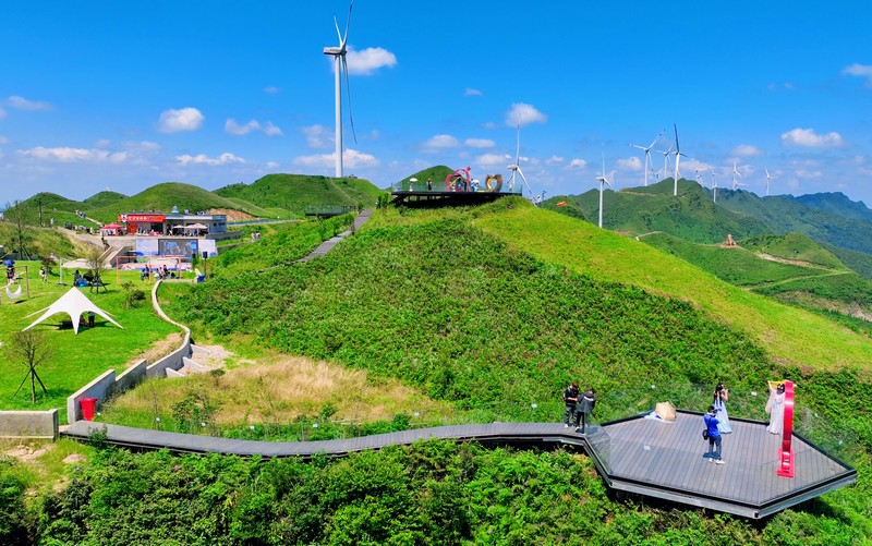 玉簪花云海景区一隅 李杰 摄.jpg