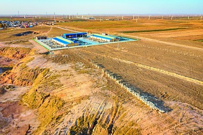 宁夏盐池:“白的羊”“黄的花”富了农民家 宁夏盐池:“白的羊”“黄的花”富了农民家